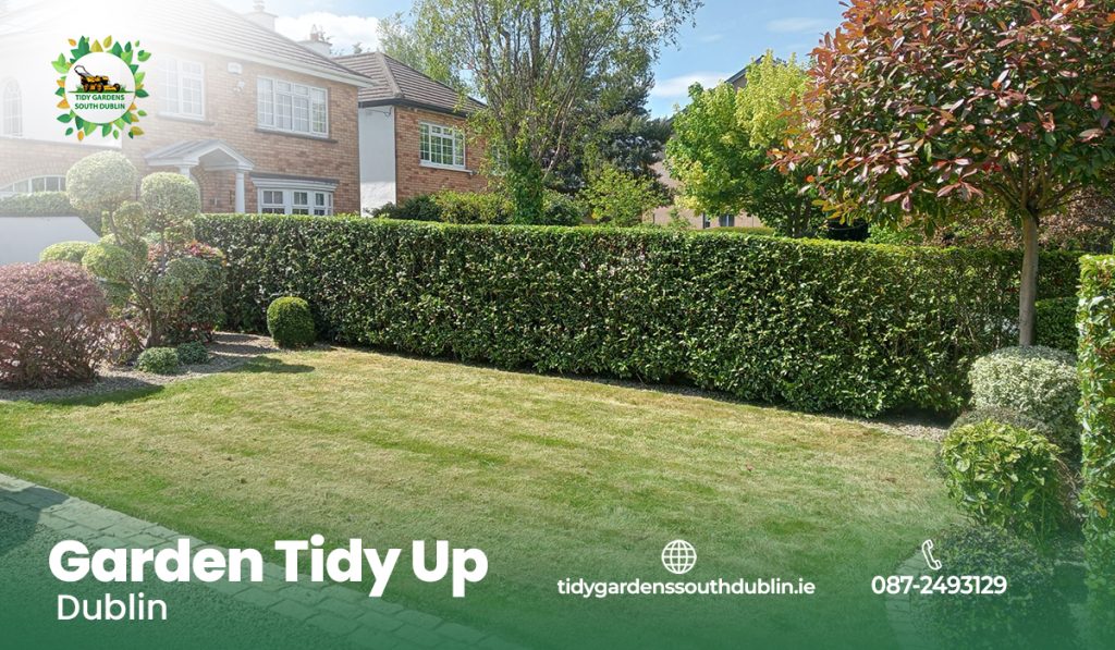 Landscaping Dublin