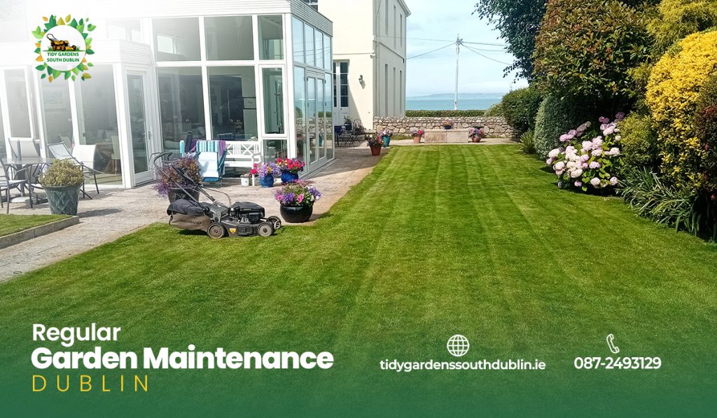 Regular garden maintenance Dublin