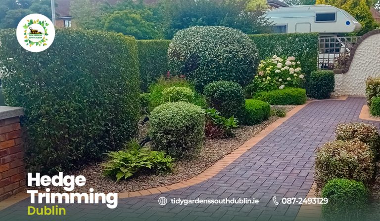 Hedge trimming Dublin