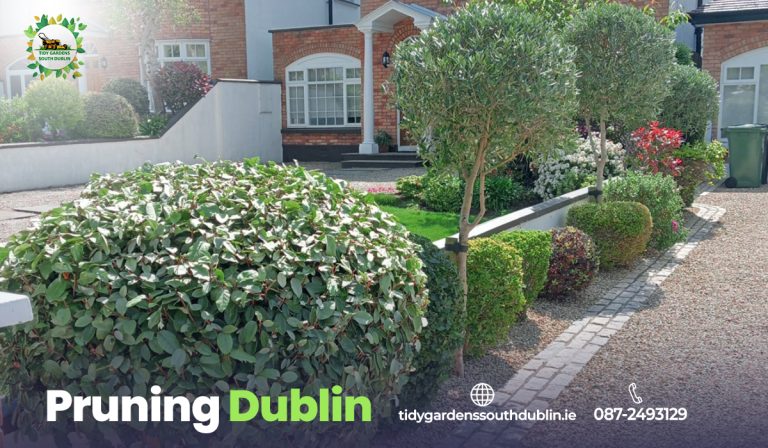 Pruning Dublin