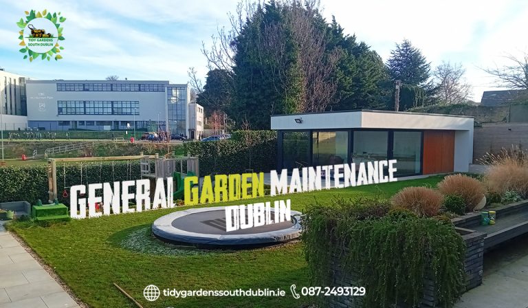 General garden maintenance Dublin