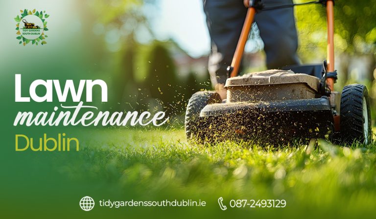 Lawn maintenance Dublin