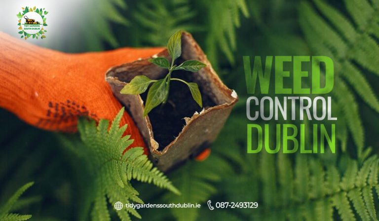 Weed control Dublin