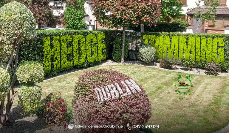 Hedge trimming Dublin