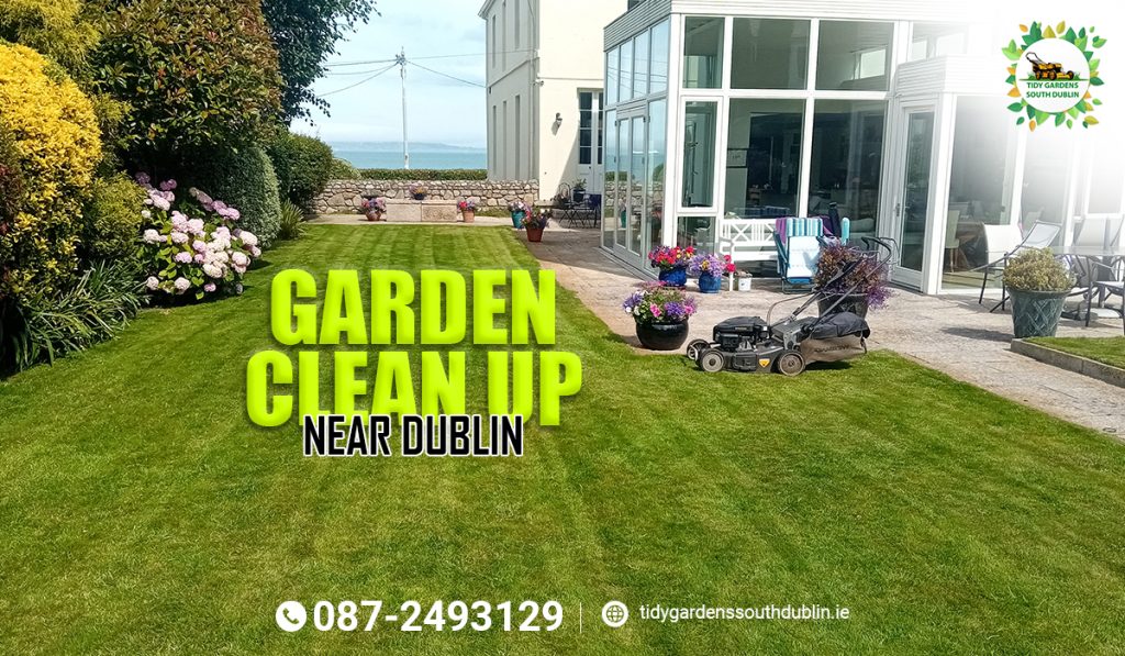 Garden clean up near me Dublin