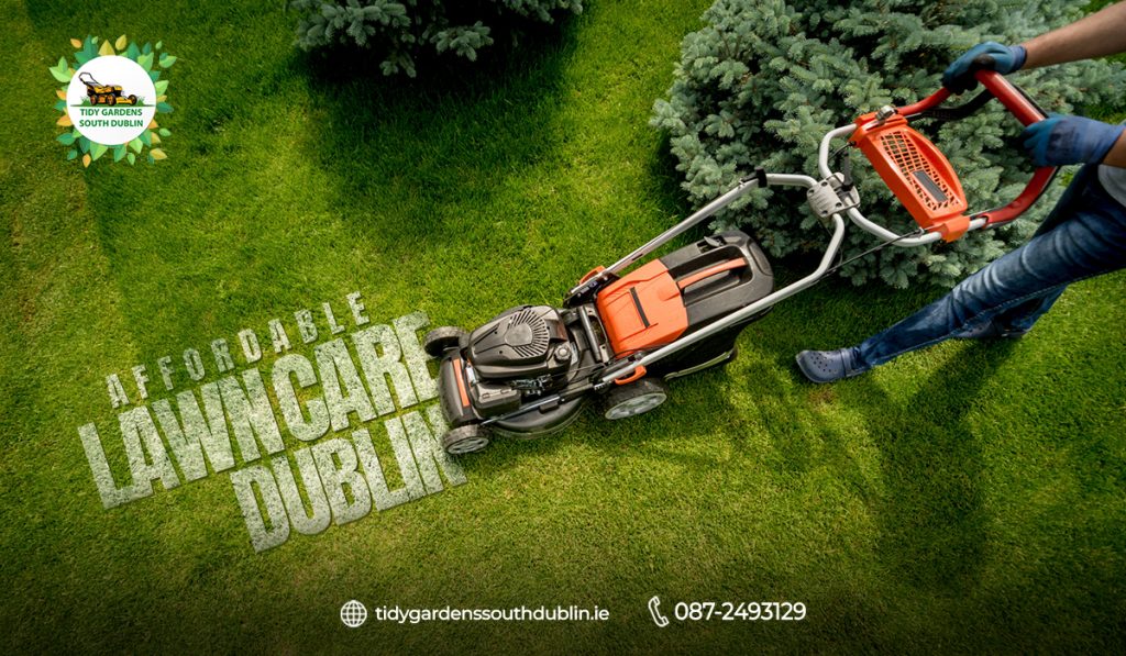 Affordable lawn care Dublin