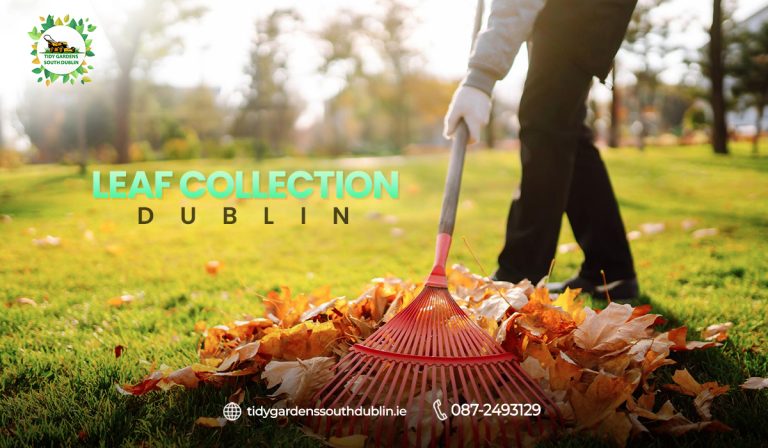 Leaf Collection Dublin