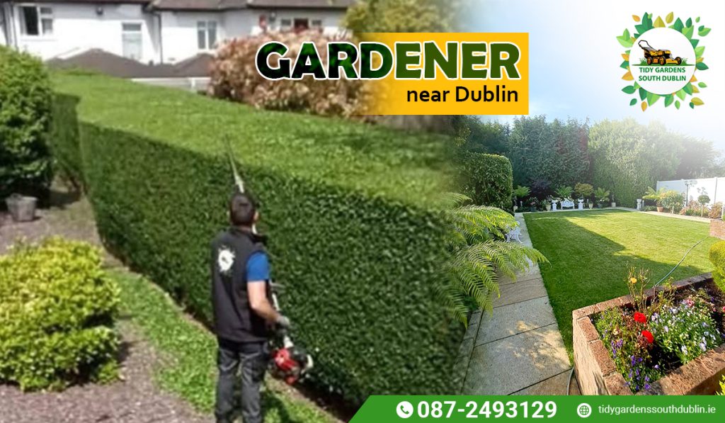 Gardener near me Dublin