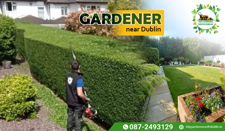 Gardener near me Dublin
