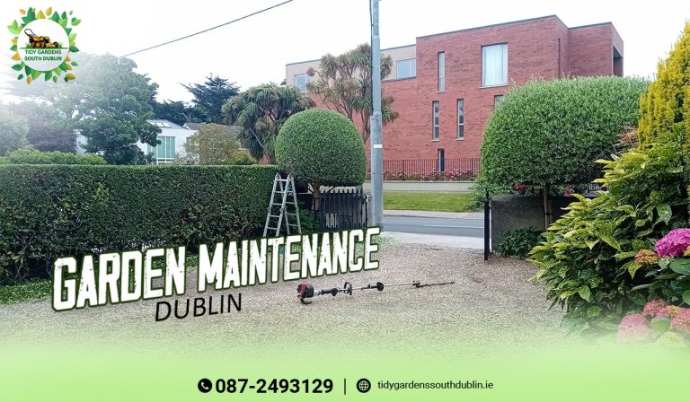 Garden Maintenance Dublin