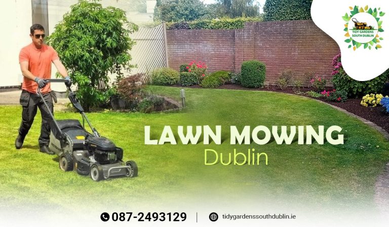 Lawn Mowing Dublin