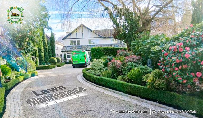 Lawn maintenance Dublin