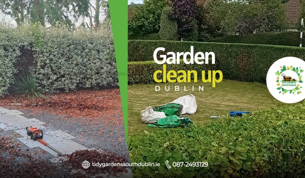 Garden clean up near me Dublin