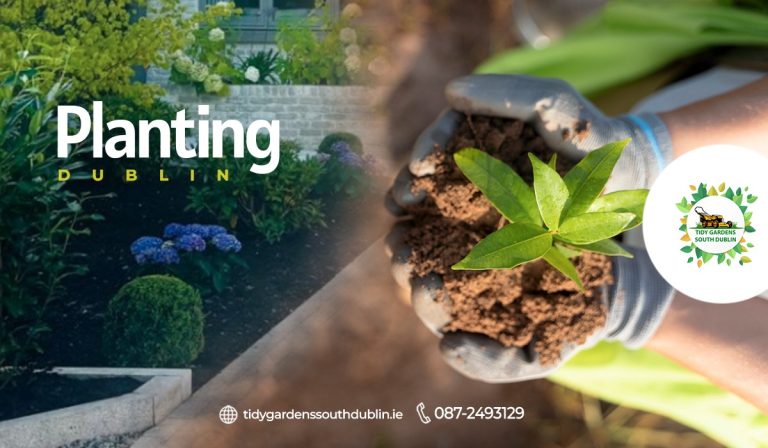 Planting Dublin